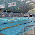 China DZDX Swimming Pool 